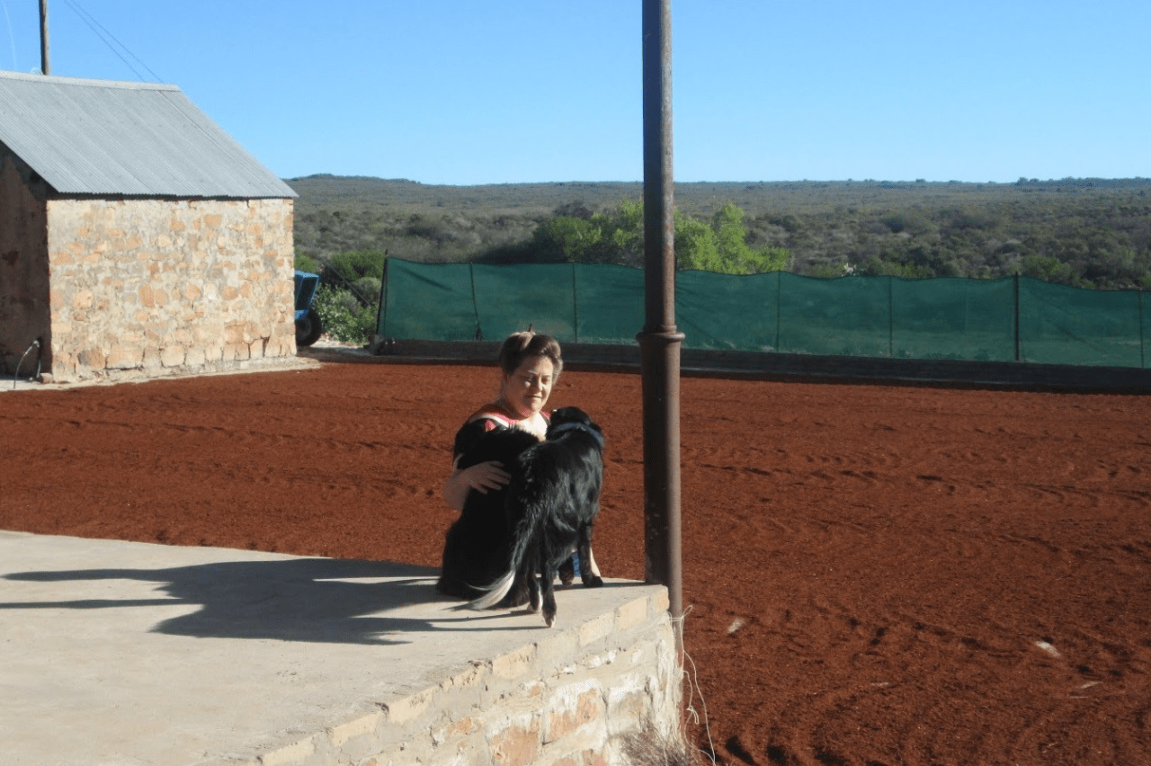 About Kookfontein Rooibos Tea