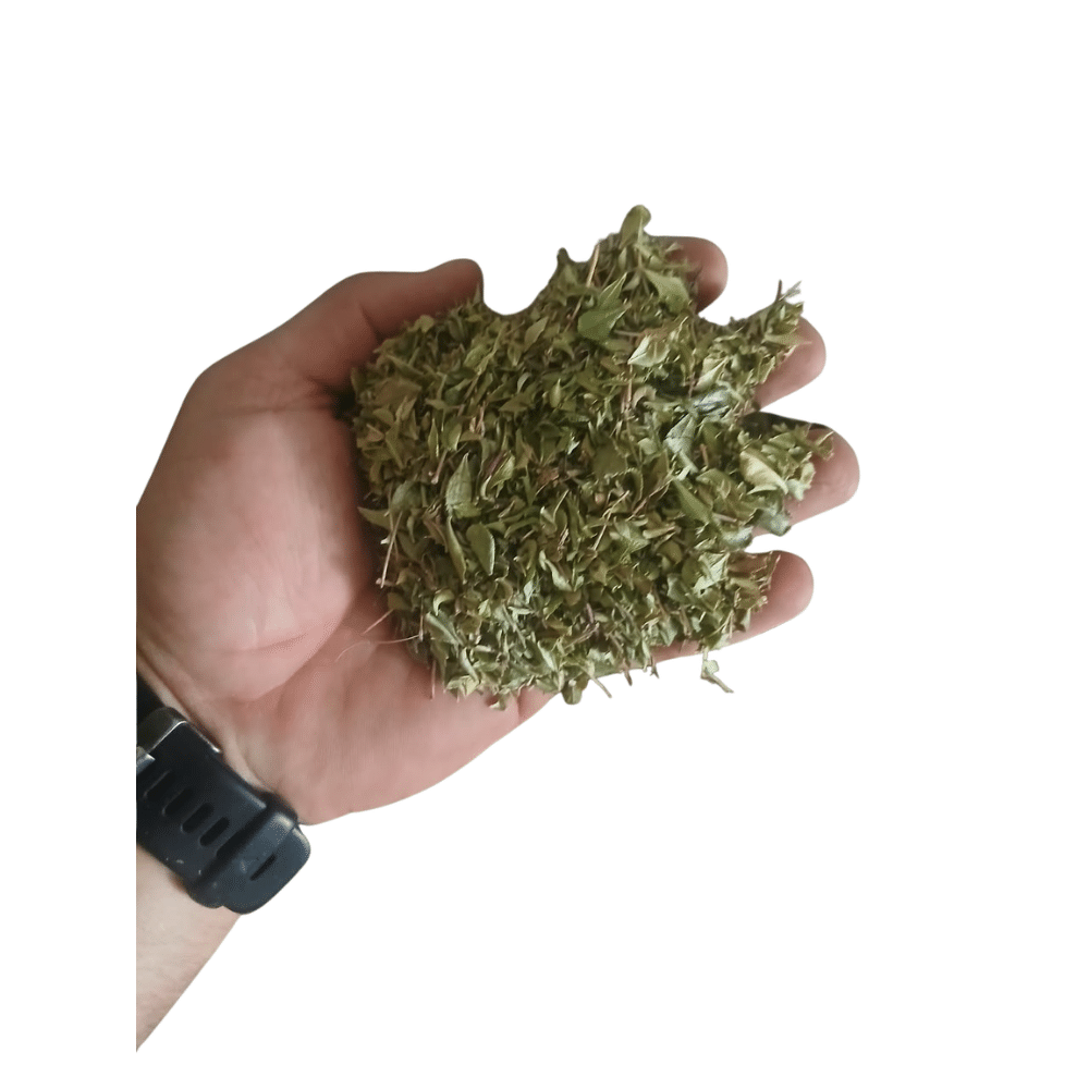 Buchu leafs